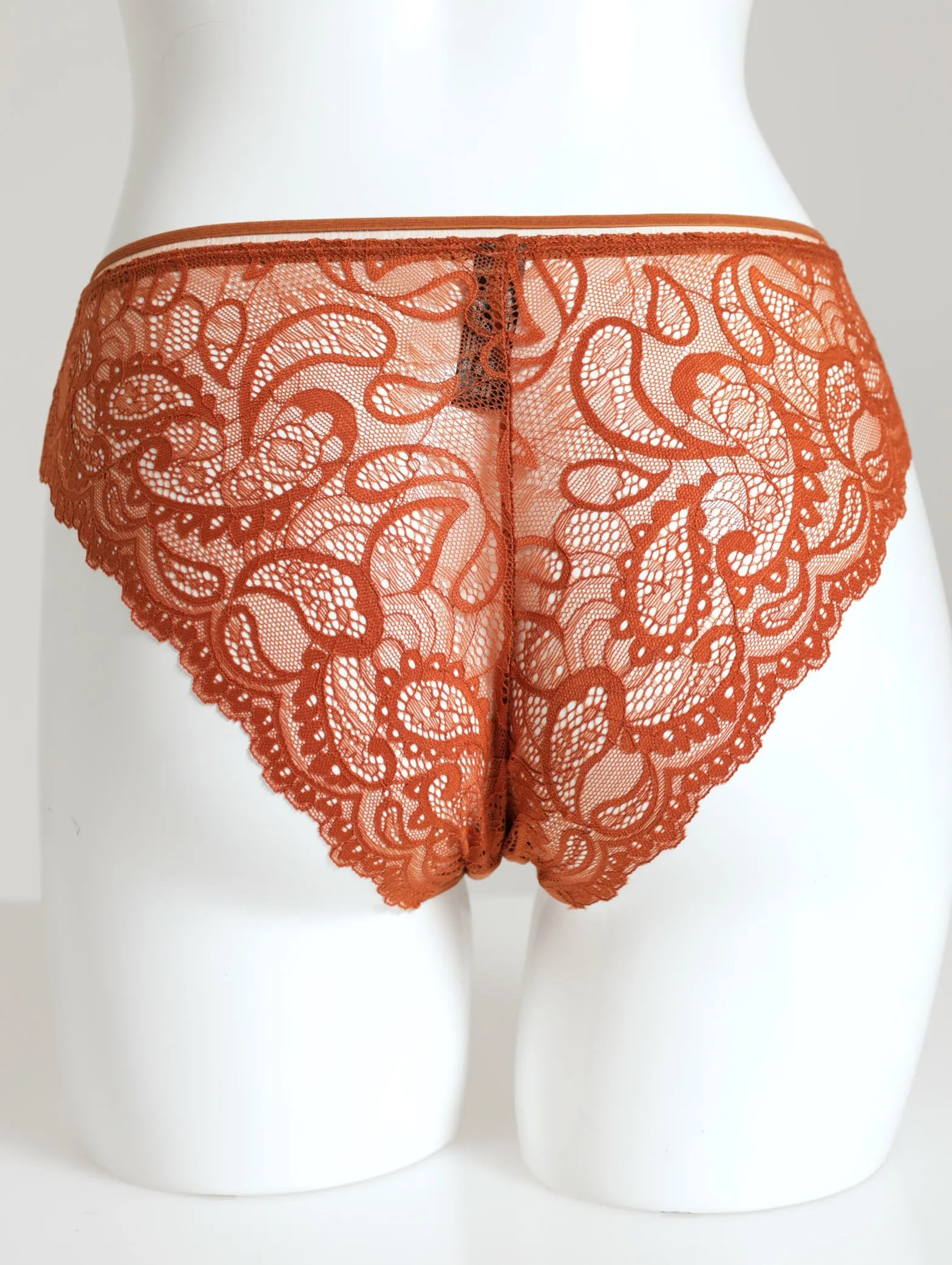 All Over Moderate Lace Brazilian Panty - Brick