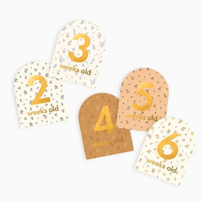 Fox & Fallow Baby Milestone Card Set BRODERIE