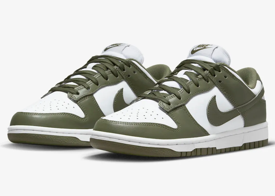 Nike SB Dunk Low Medium Olive White DD1503-120