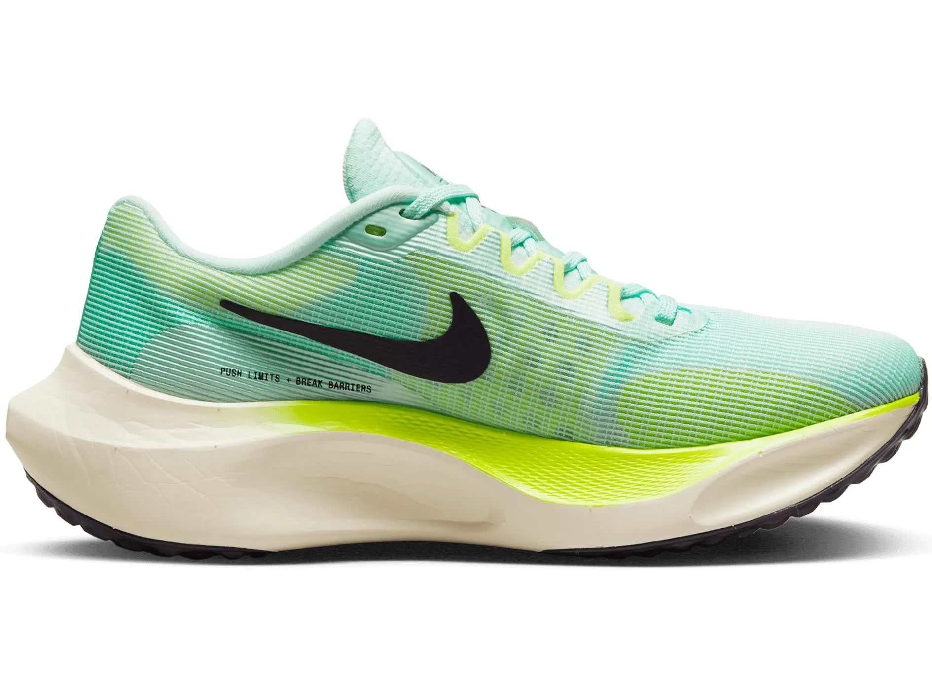 Nike Womens Zoom Fly 5  DM8974 300